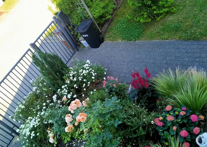 Brzask * Mosty (Puck)