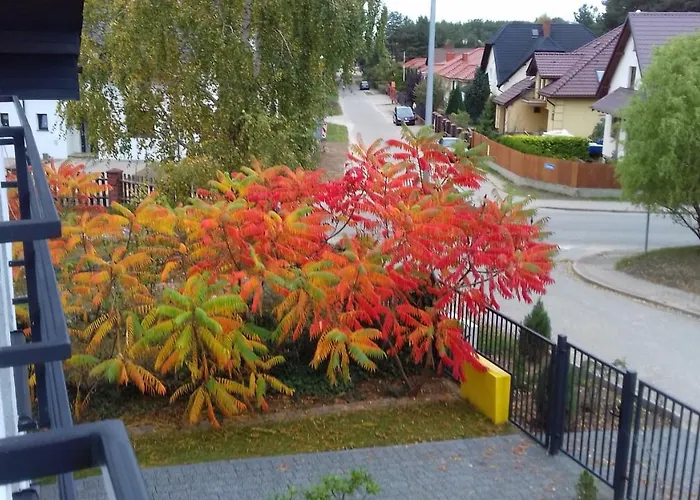 Brzask * Mosty (Puck)